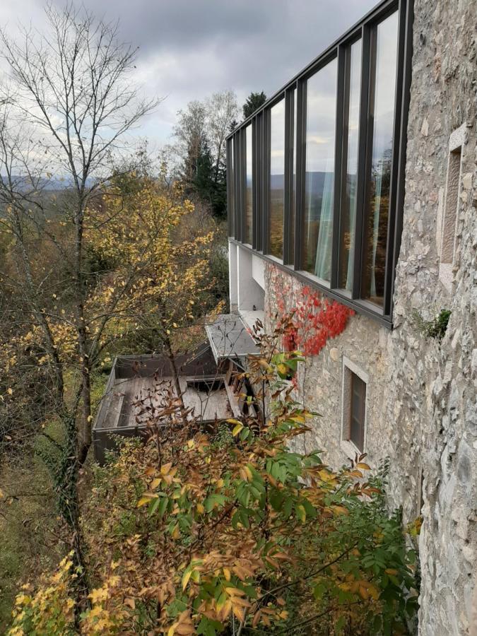 Hotel Vinica Castle Extérieur photo