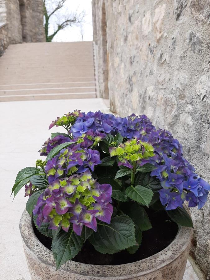 Hotel Vinica Castle Extérieur photo