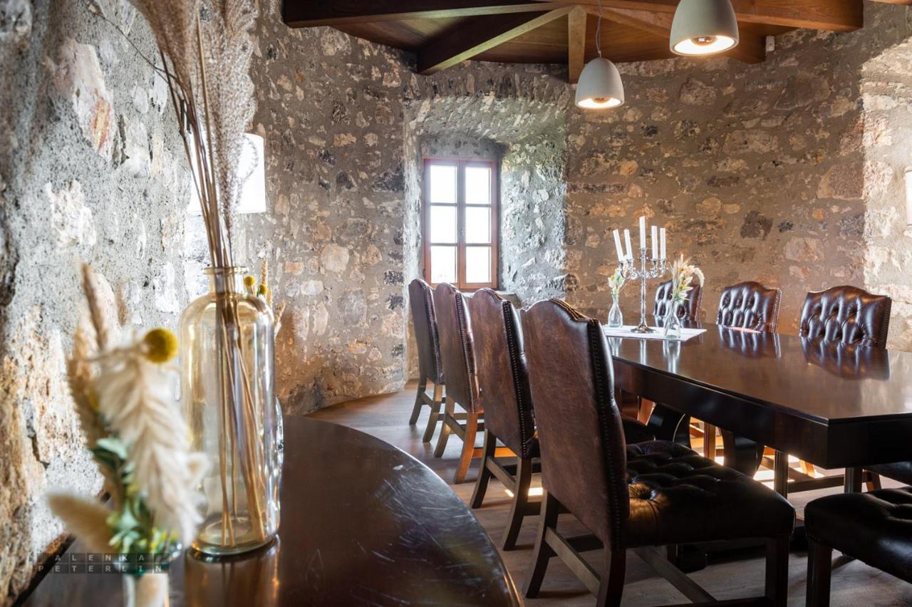 Hotel Vinica Castle Extérieur photo