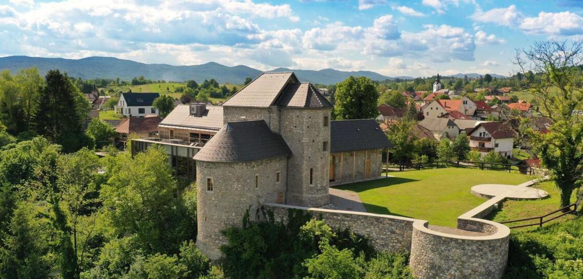 Hotel Vinica Castle Extérieur photo