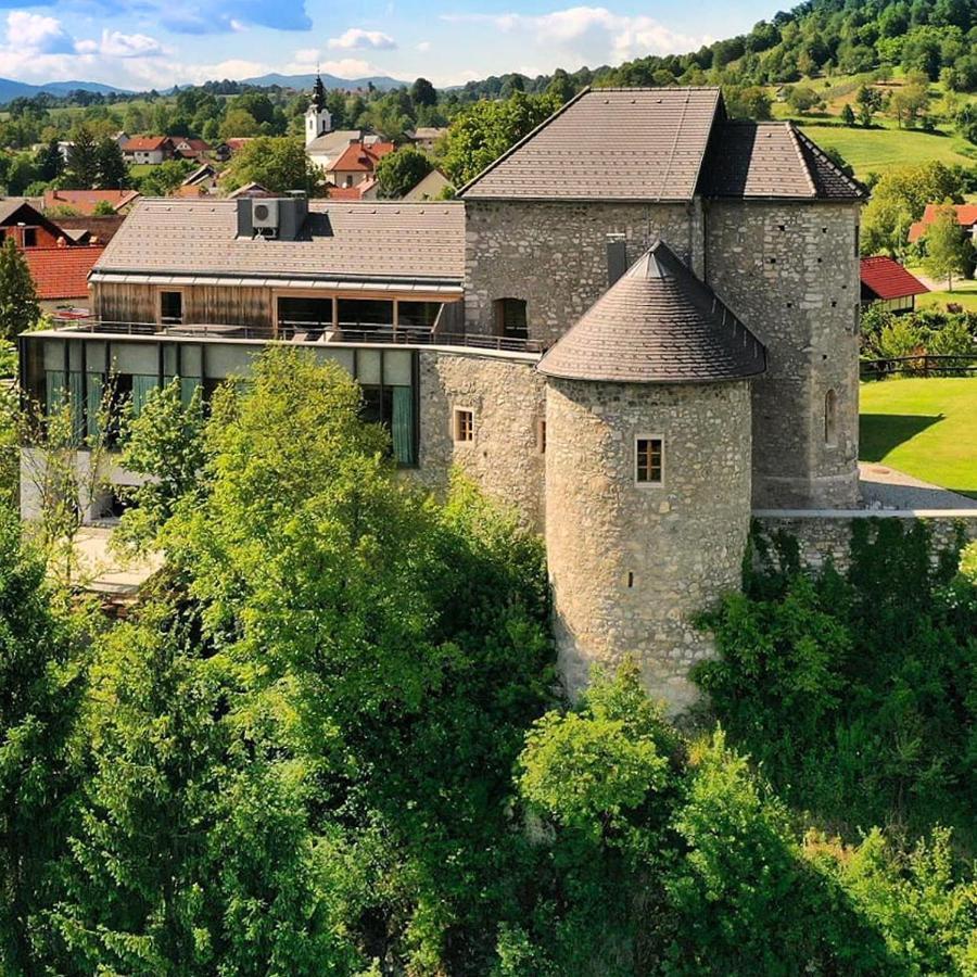 Hotel Vinica Castle Extérieur photo