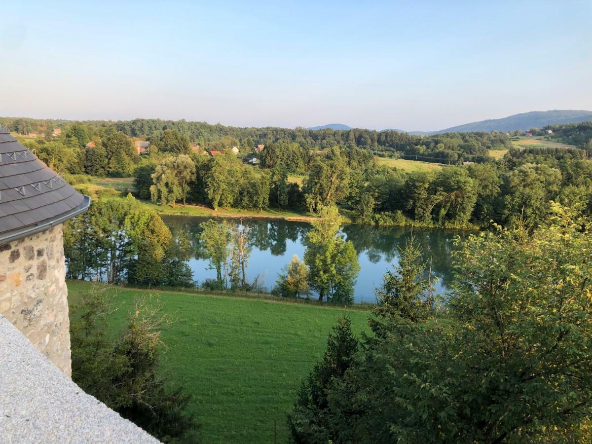 Hotel Vinica Castle Extérieur photo
